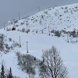 IMG_3331